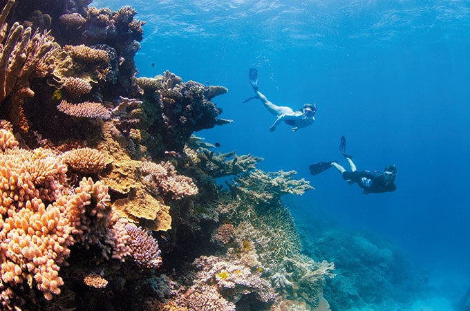 Snorkelling the Great Barrier Reef is a must do for couples..