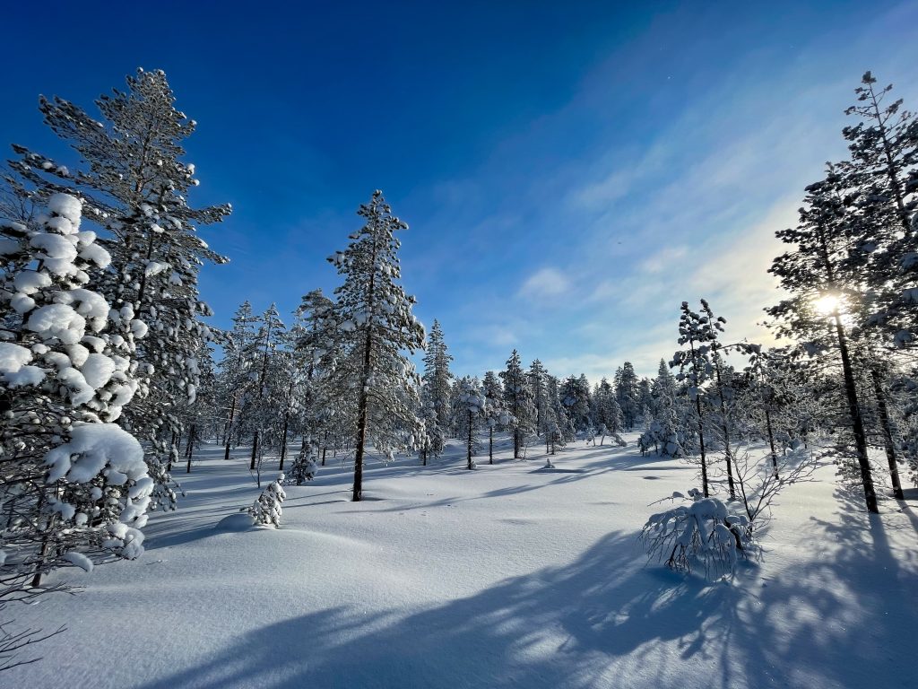 Snowmobiling-gives-you-access-to-secret-winter-wonderlands-Finland-snow-snowmobile