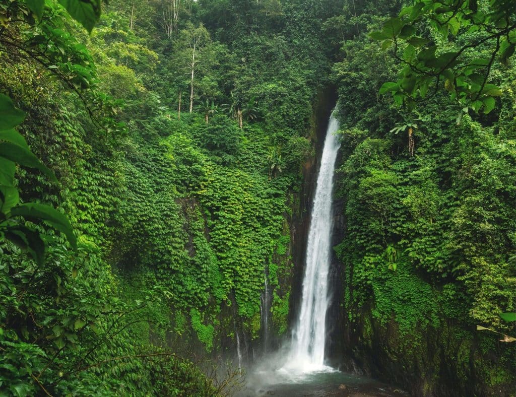 Munduk-Waterfall-Bali