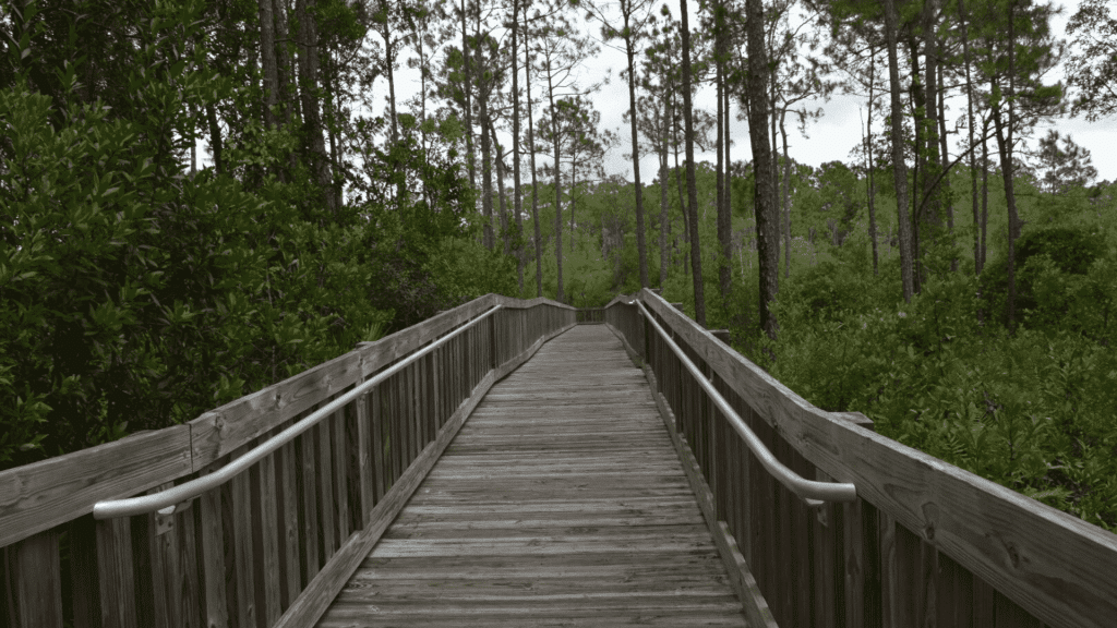 Tibet-Butler-Nature-Preserve-Orlando