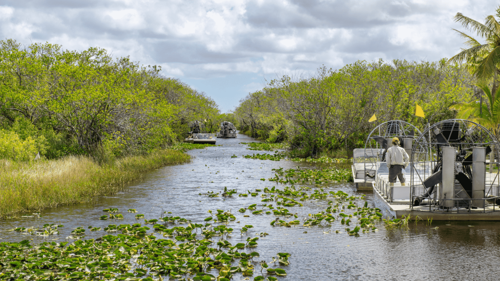 Wild Florida - airboat tours - Orlando