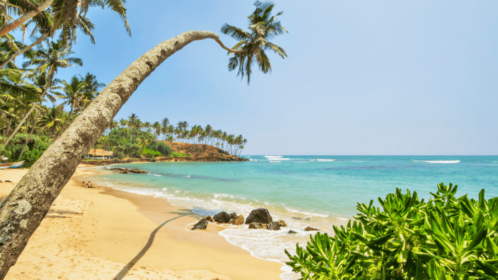 Mirissa Beach, Mirissa, Sri Lanka