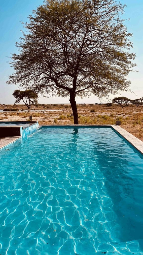 Onguma the Fort in Etosha National Park - swimming pool