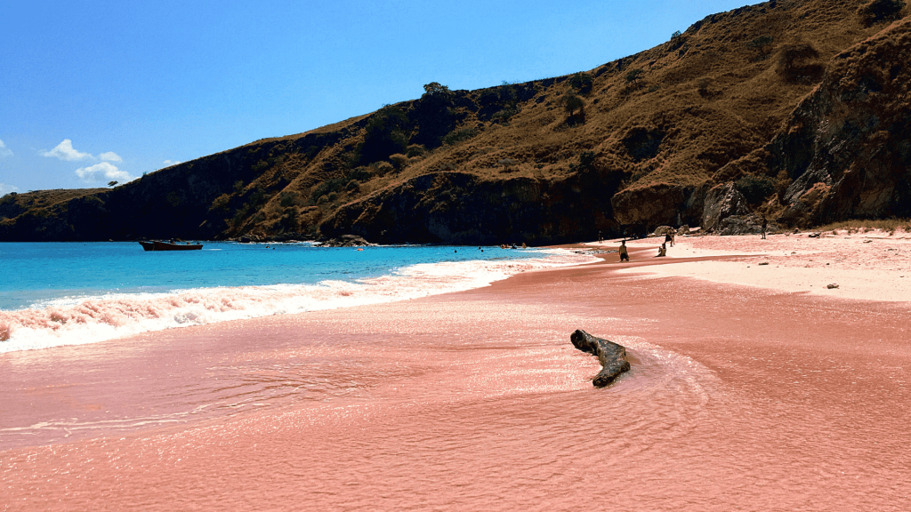 Pink Beach, Komodo Island, Indonesia