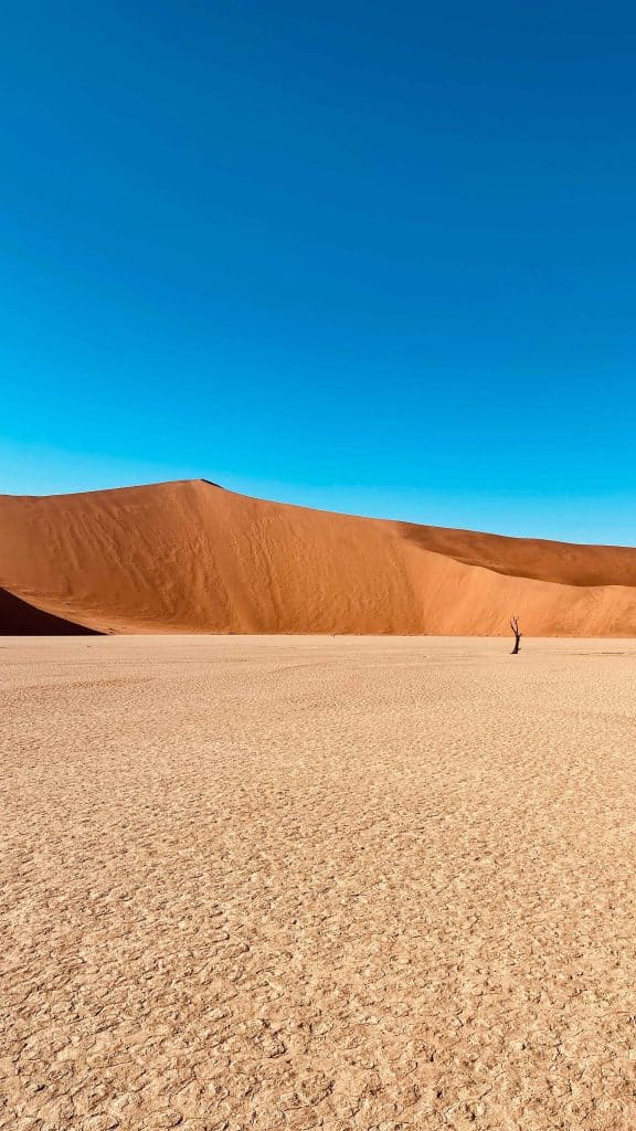 Sossusvlei - empty looking desert with views of the sand dunes in the background