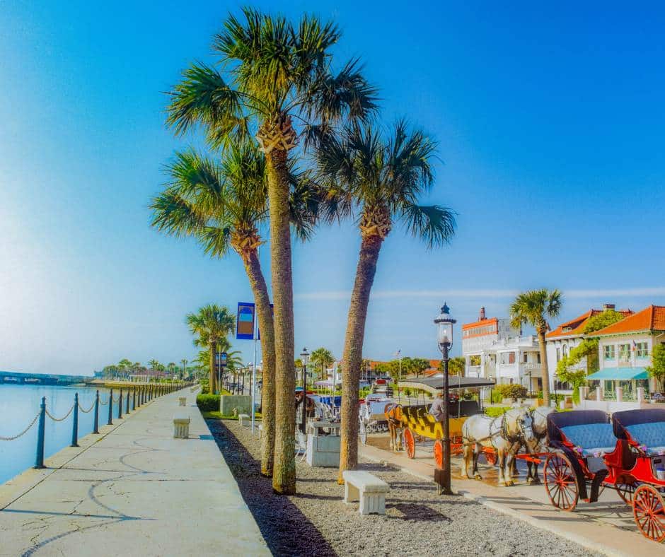 Horse drawn carriages line road in St. Augustine, Florida (P)