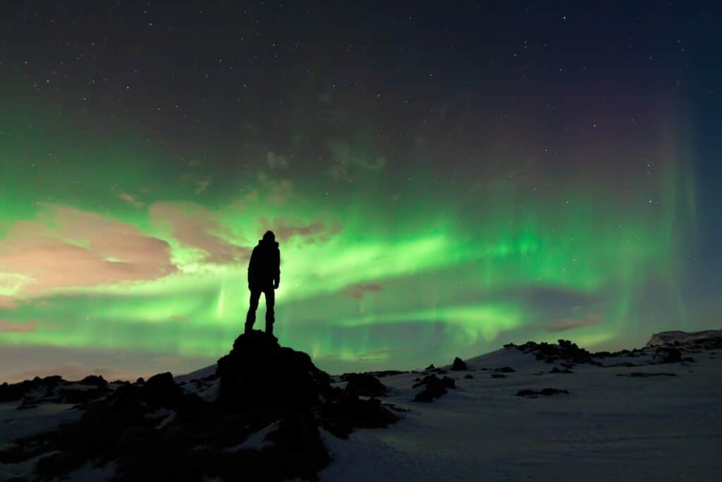 Hurtigen Cruises Aurora Lights Chasing