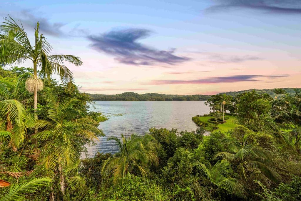 Secrets on the Lake - birds eye view of the lake and forest