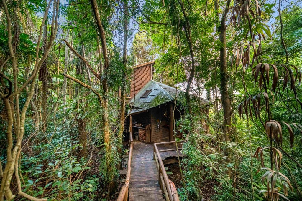 Secrets on the Lake - walkway to a treehouse