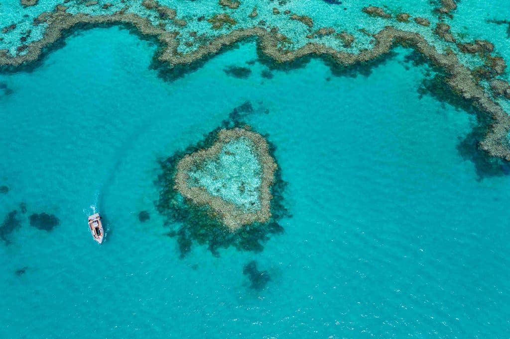 Tourism Whitsundays - Heart Reef birds eye view